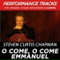 Steven Curtis Chapman