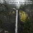 Nature Sounds