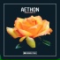 Aethon (DE)