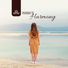Meditation Music Zone