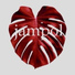 JAMPOL