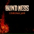 Blind Mess