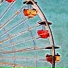 Tracy Lee Harrington