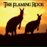 The Flaming Roos