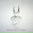 Stier