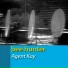 Bee Hunter