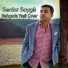 Serdar Saygılı