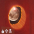 Wingdings