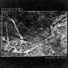 Misgiver