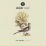 Ray Okpara feat. Robert Jankovic