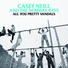Casey Neill & The Norway Rats