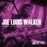 Joe Louis Walker