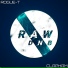 Rogue-T, Dsy