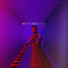 Next to Neon