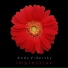 Andy Vidersky