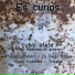Cubic State
