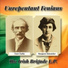 The Irish Brigade