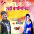 Shailesh premi