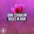 Dani Corbalan