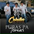 Caballos Del Rancho