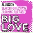Allusion