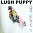 Lush Puppy