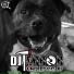 DJ Terror