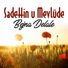Sadettin u Mevlude