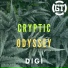 Digi