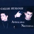 Gallos Humanos