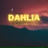 Dahlia