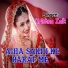 Krishna Zaik