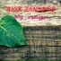 Rick Zandros