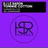 DJ Le Baron feat. Tommie Cotton