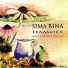 Sima Bina