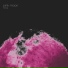 Pink Moon