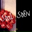 Шут (SPF)