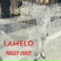 Lamelo Da Kidd