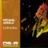 Michael Angelo