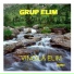 Grup Elim