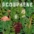 Acouphene