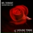 Mr. Thruout