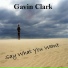 Gavin Clark