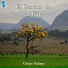 Grupo Estirpe