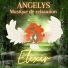 ANGELYS musique de relaxation