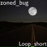 zoned bug