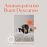Don Javier Descanso