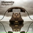 2Symmetry