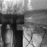 lostlove