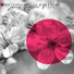 Mindfulness Meditation Music Spa Maestro